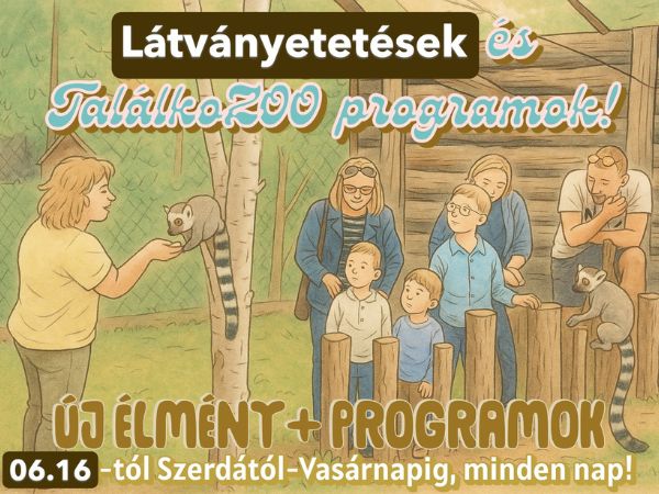 Látványetetések a Gyöngyösi Állatkertben!